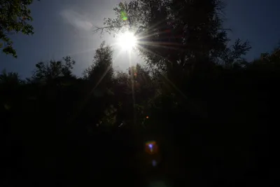 DSC_1638 (Large).JPG